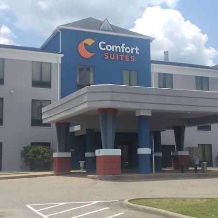 Comfort Suites Airport South Montgomery Luaran gambar